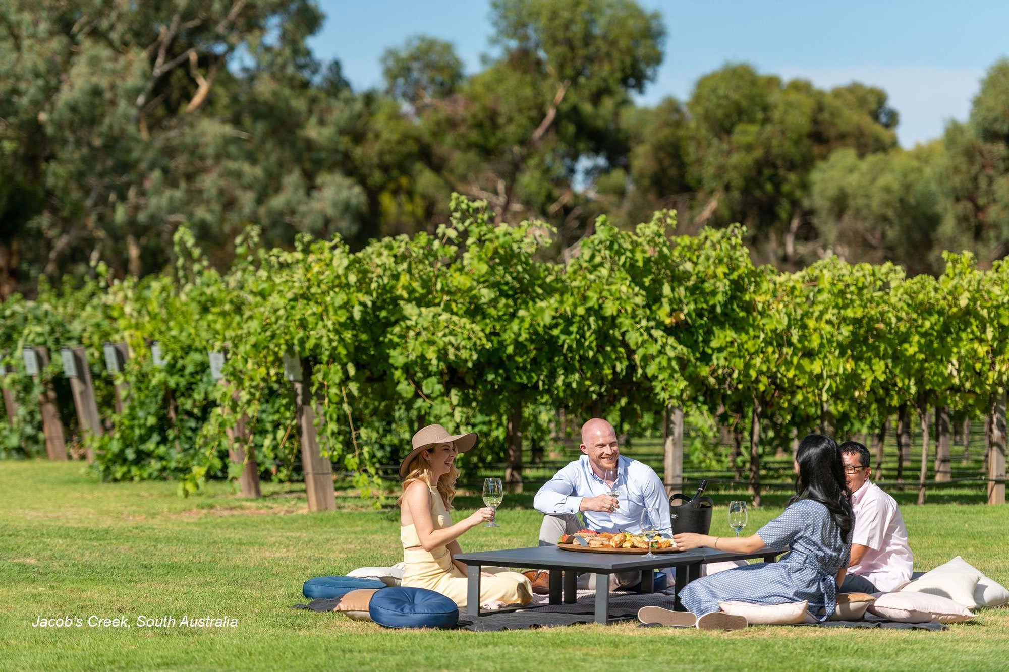 TA_Picnic-JacobsCreekWinery-HS TA_Picnic-JacobsCreekWinery-HS